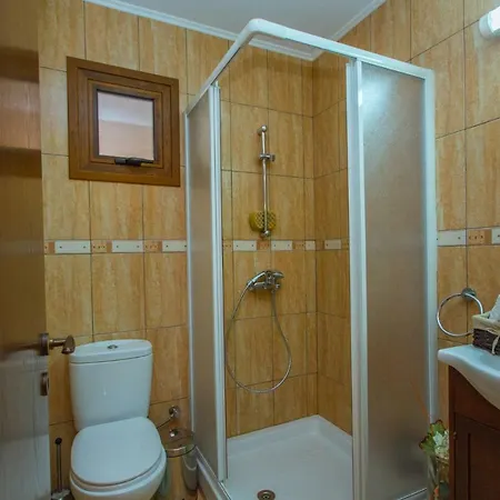 Aethra Case de vacanță Pelendri